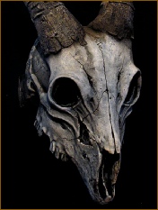 GOAT SKULL MASK